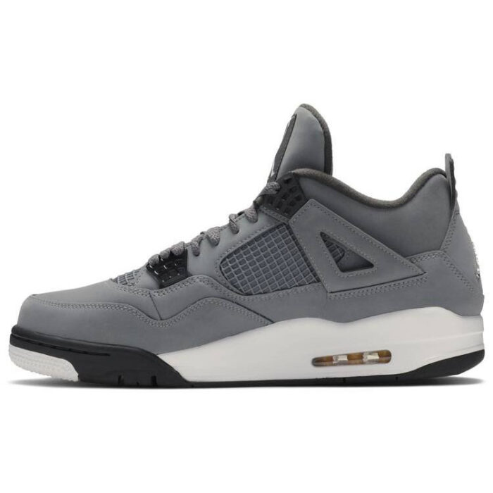 Air Jordan 4 Retro Cool Grey 2019 308497 007 1
